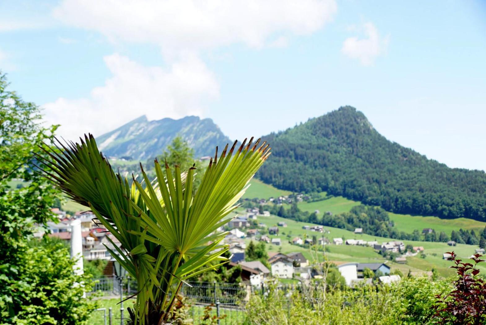 Ferienwohnung Bijou am Bach Amden Exterior foto